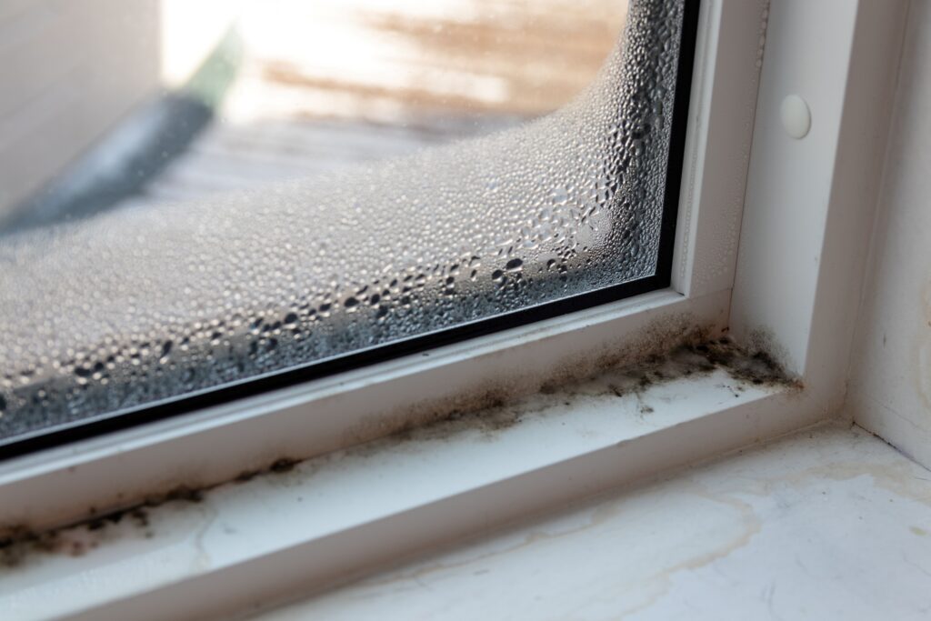 mold and allergens